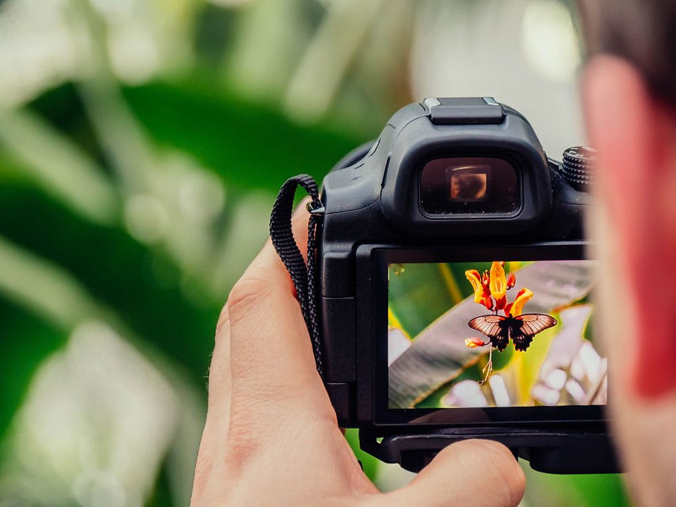 photography-Ryan.jpg