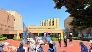 国民平和大行進
