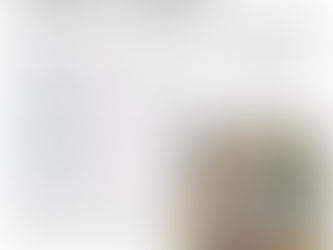 3月議会の議員団活動報告ニュース