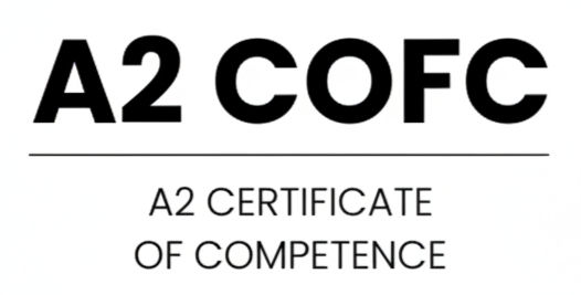 Firefly_GeminiFlash (1)_edited