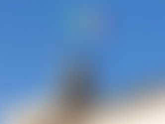 Viaggi scolastici Costituzione