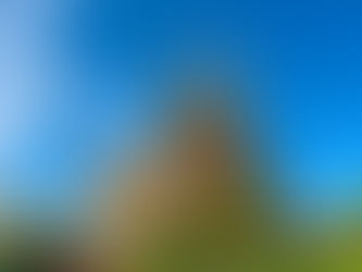 viaggi scolastici estero