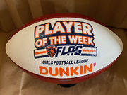 custom decorated sports balls hand painted to order