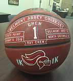 hand painted basketballs by Socha
