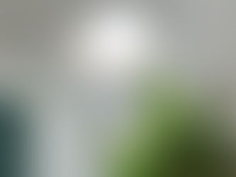 Tout Savoir sur les Vélux : Installation, Remplacement et Avantages