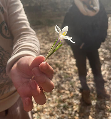 Projet Art'Air, programme de remobilisation pour jeunes en décrochage