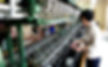 Commercial Silk Factory