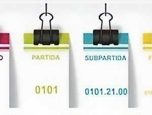 Asesoramiento técnico de clasificación Arancelaria