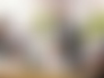 PT Voices Matter in the Media