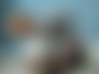 Why You Shouldn’t Quit Physical Therapy for Back Pain