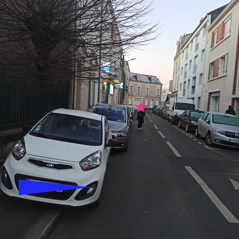 Stationnement très gênant rue Bodin