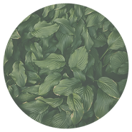 Untitled design (1).png