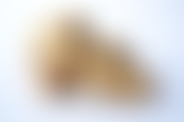 8 Reasons to Try Ginger: A Superfood with Powerful Benefits!