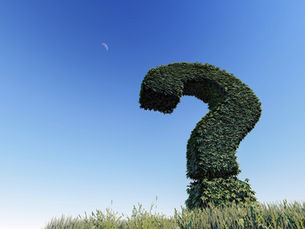 “Just Tell Me What to Do”: Understanding the Military’s Relationship With Choice