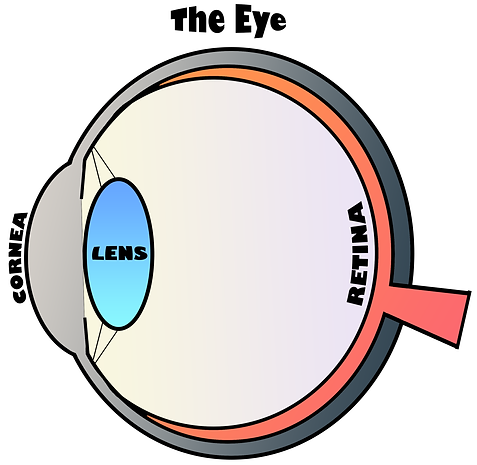 Eye resize.png