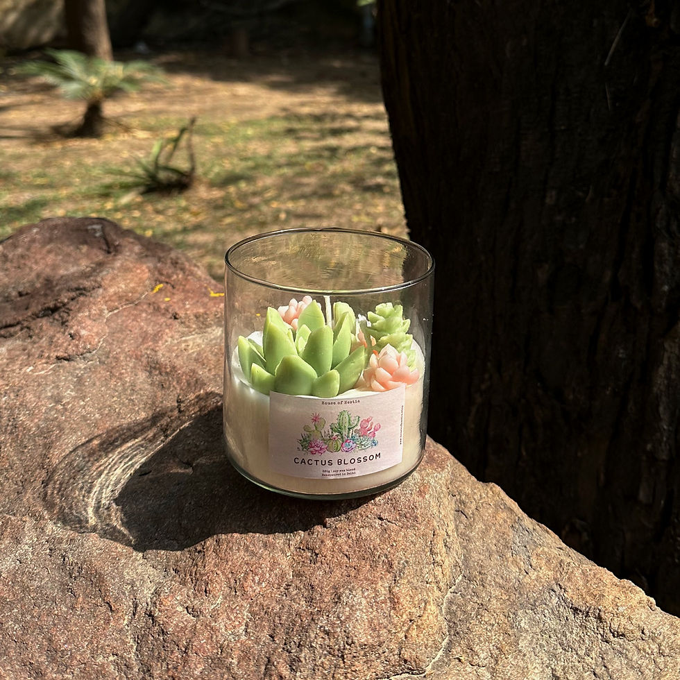 Thumbnail: Cactus Blossom