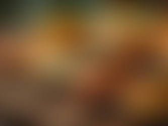 Discover Ottawa's Hidden Gem: The Ultimate Office Tiffin Service Experience