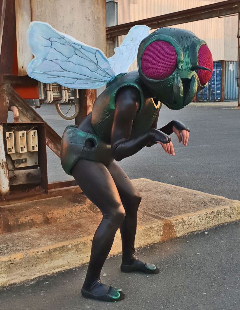 Fly