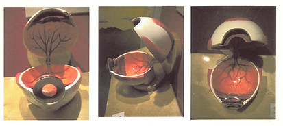 This was a travelling exhibit sponsored by the San Francisco Eye Institute.