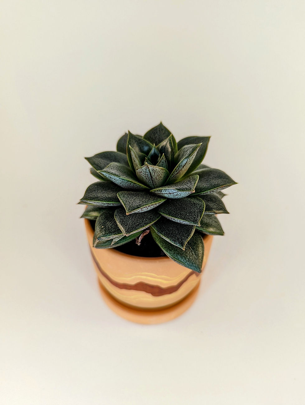 Thumbnail: Hand-Decorated Pot | No. 1 (mini)