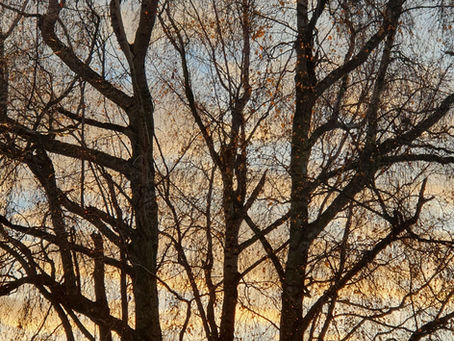 The Sweetness of Surrender