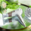 Miniature : Seche cheveux -Studio Dry- Rowenta