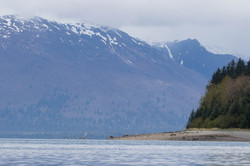 neilson (84 of 236)