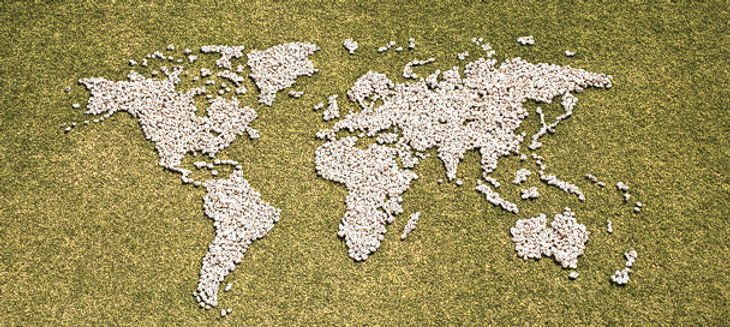 World Map Art_edited.jpg
