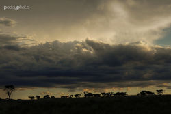 African storm small.jpg