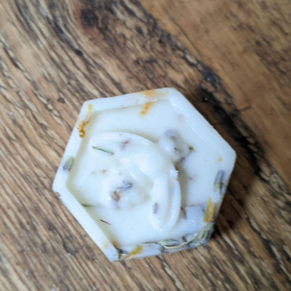 Thumbnail:  Beeswax Melts