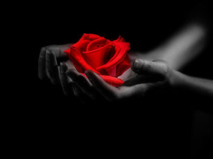 KROZ KAOS DO NAPRETKA