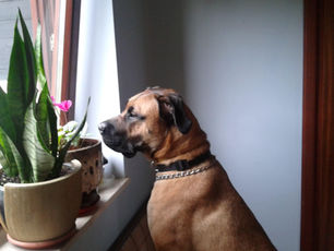 ARGO - LJUBAV SE ZOVE IMENOM TVOJIM 