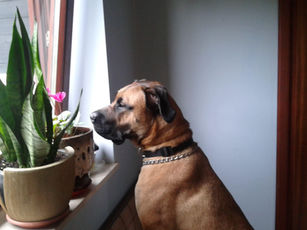 ARGO - LJUBAV SE ZOVE IMENOM TVOJIM