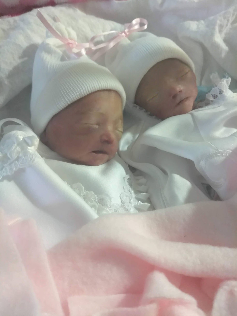 Abigail Zelda & Aurora Shiloh Viamontes
