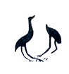 IMG_9983_1.png