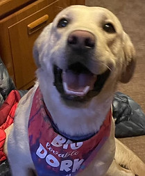 View recent photos.jpg