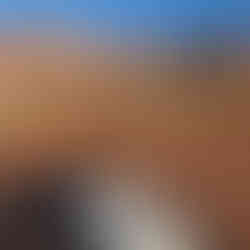 Campground is in the little green line of trees near center ...