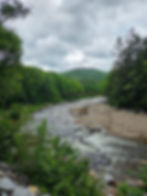 Wild River Pedestrian Bridge (about quarter mile walk from the campground)