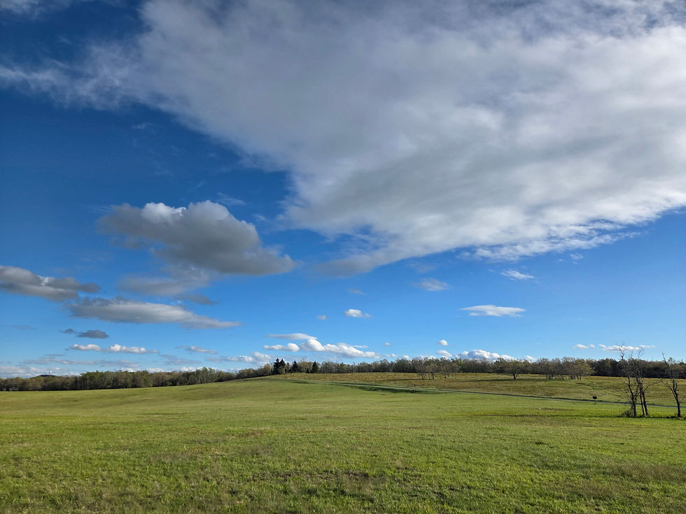 Big Meadows