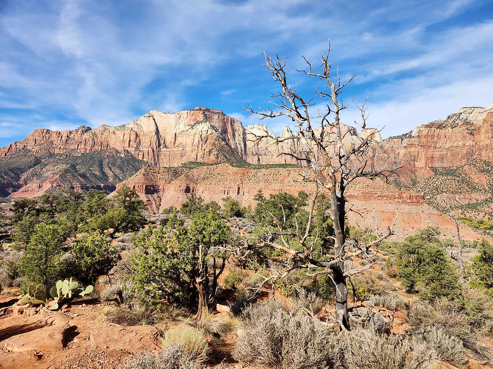 Zion National Park, Part 1, Watchman Hike & Zion Canyon Bike Ride