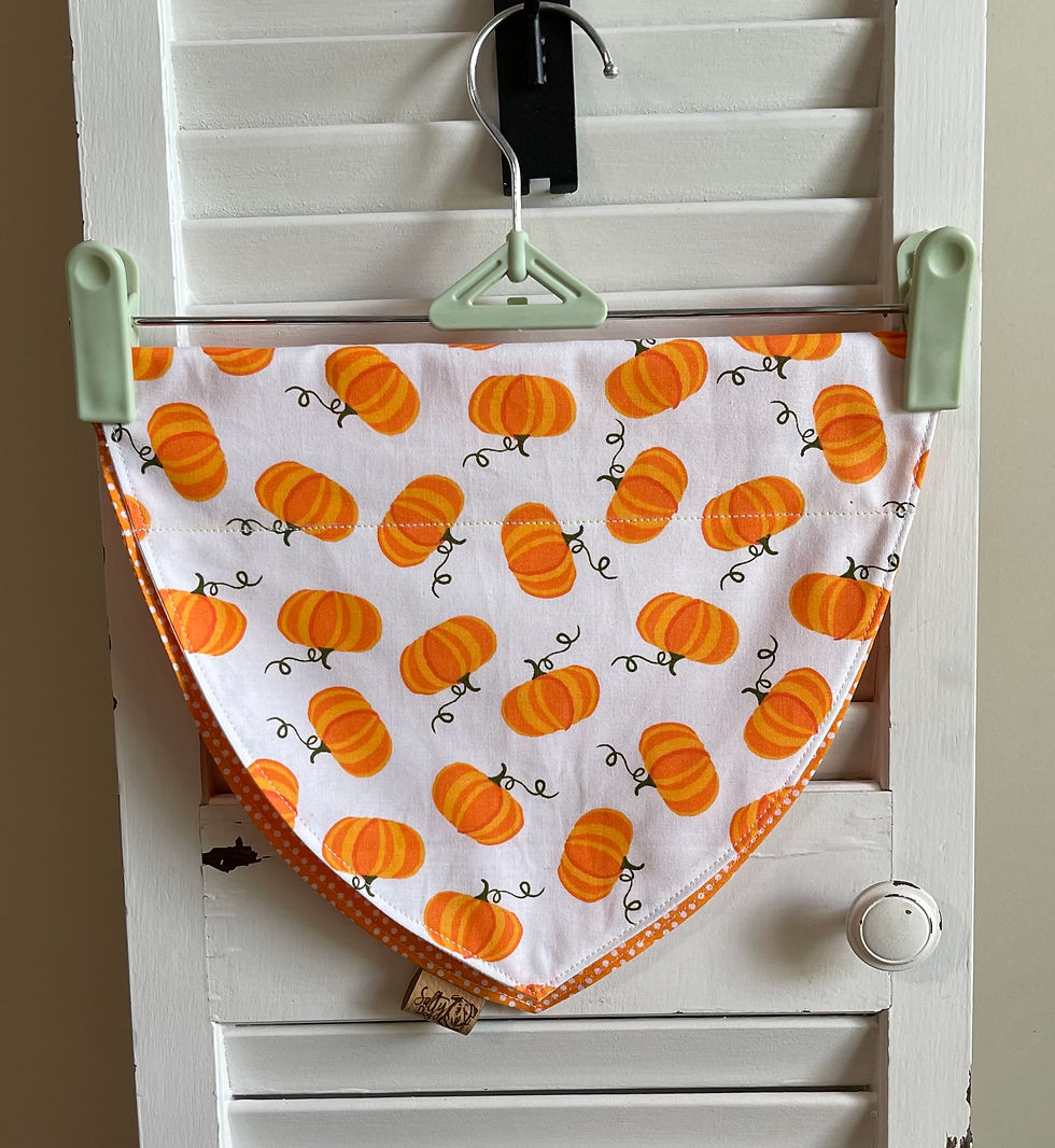 Thumbnail: CURLY PUMPKINS