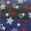 Thumbnail: STARS & BOARDS BANDANA