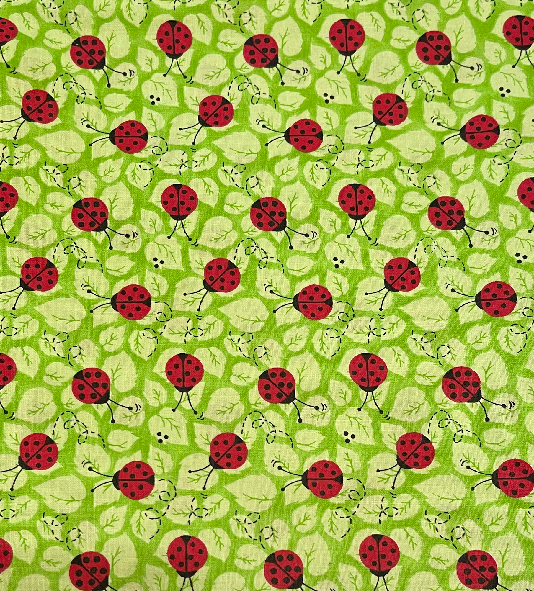 LADYBUGS ON GREEN BOW