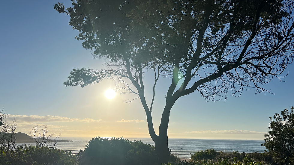 early morning Freshwater Beach, NSW