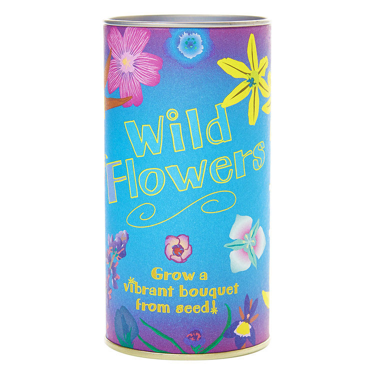 Wildflower Grow Kit Mariposa Museum