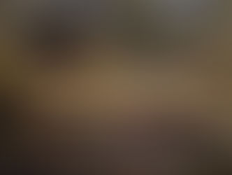 Monet’s Water Lilies: A Monument to Peace and Solace in Grief