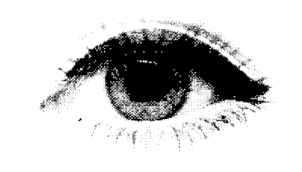 eye.gif