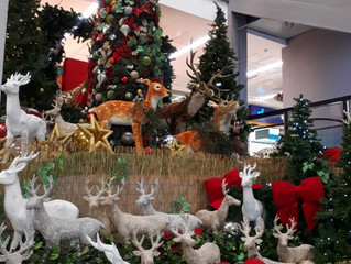 Campanha de Natal do Shopping João Pessoa leva clientes para o Caribe