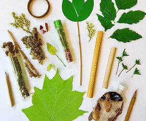nature collage art project for kids supplies.jpg