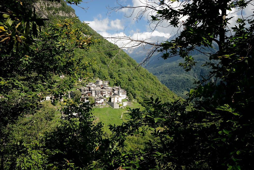 Savogno